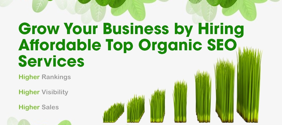Organic SEO Services